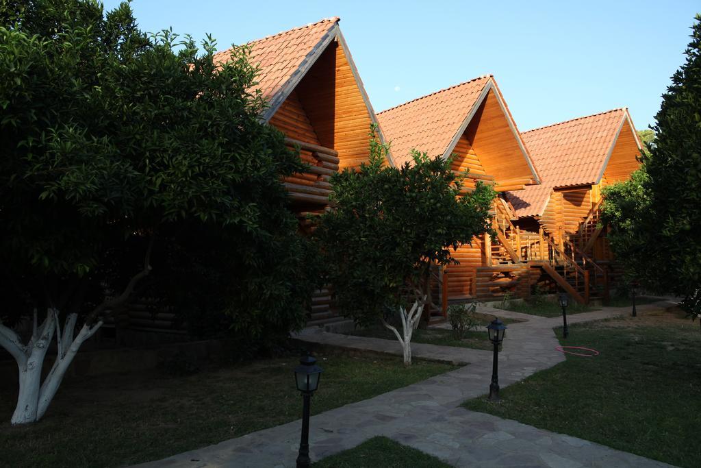 Woodline Hotel Гьонюк Екстериор снимка
