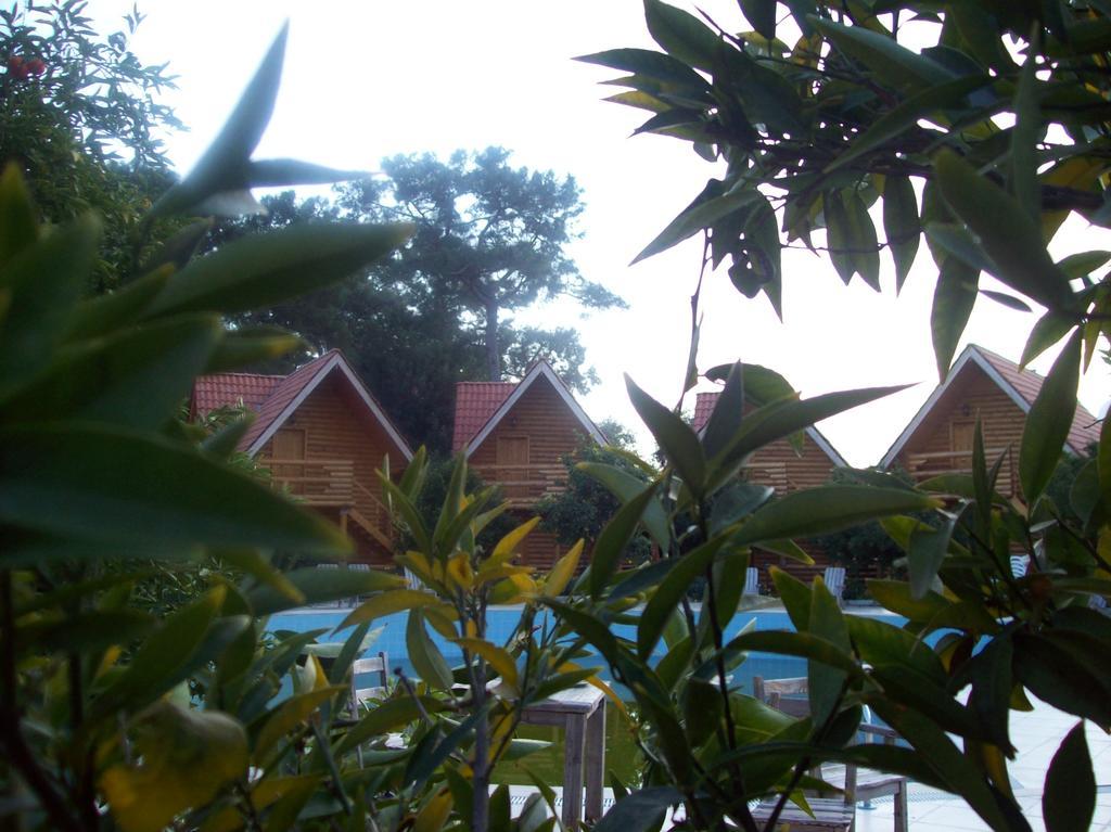 Woodline Hotel Гьонюк Екстериор снимка